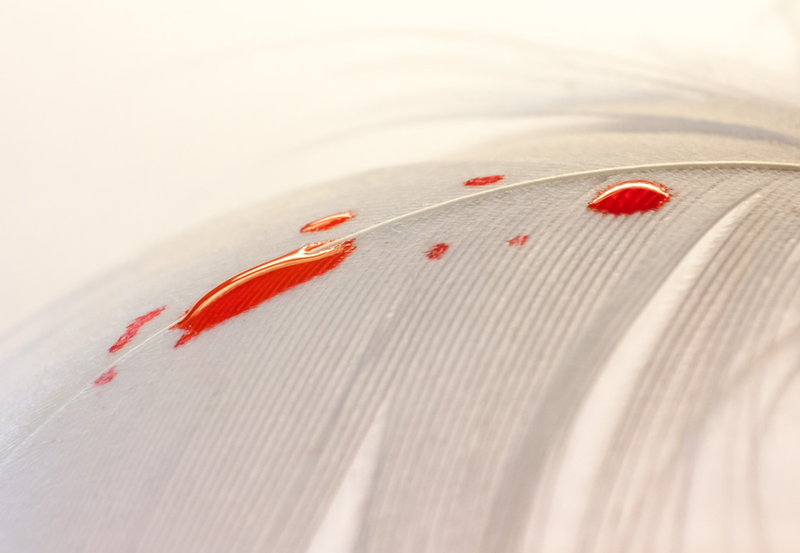Illustration for article titled 3 Photos Of Blood (It's OK, They're Fake)